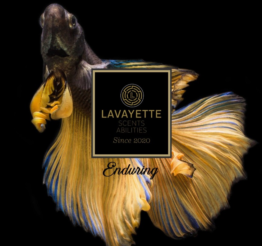 Snímek obrazovky 2025-11-15 191054